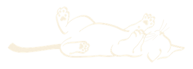 Illustration chat