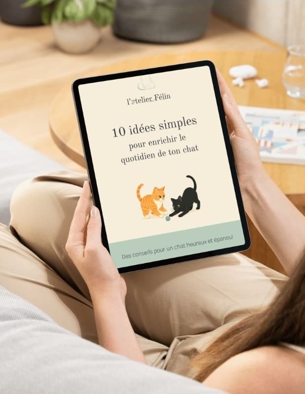 Couverture e-book : 10 idées simples pour enrichir le quotidien de ton chat