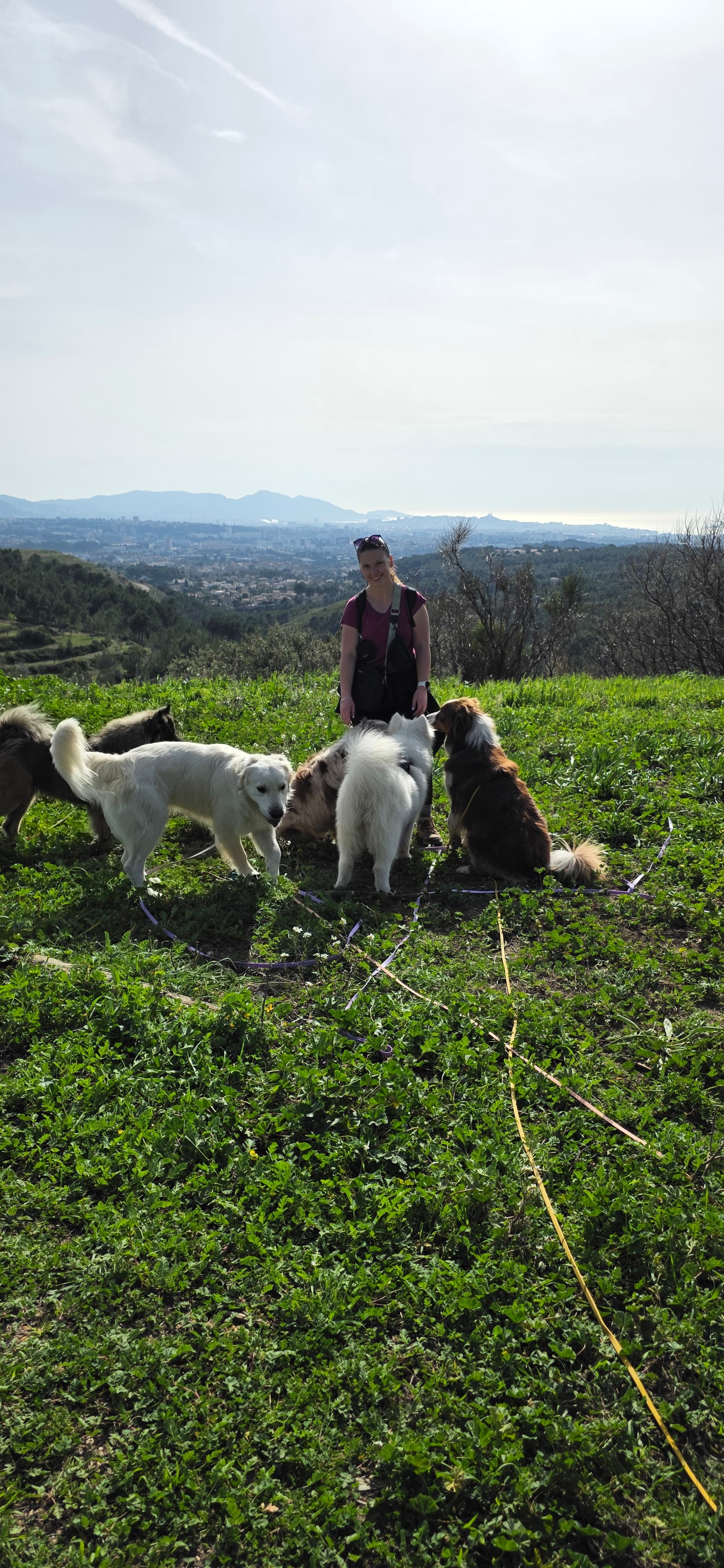 Lorena en balade avec des chiens