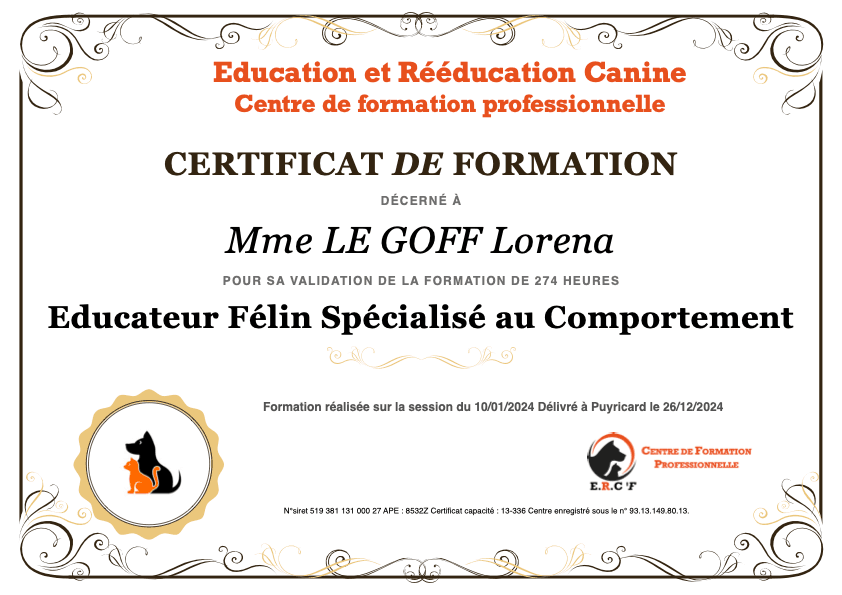 Diplôme Éducateur spécialisé en comportement félin